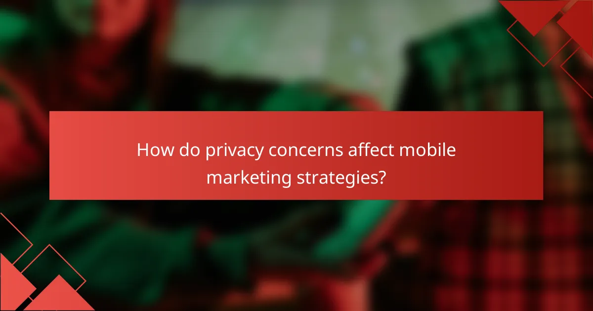 How do privacy concerns affect mobile marketing strategies?