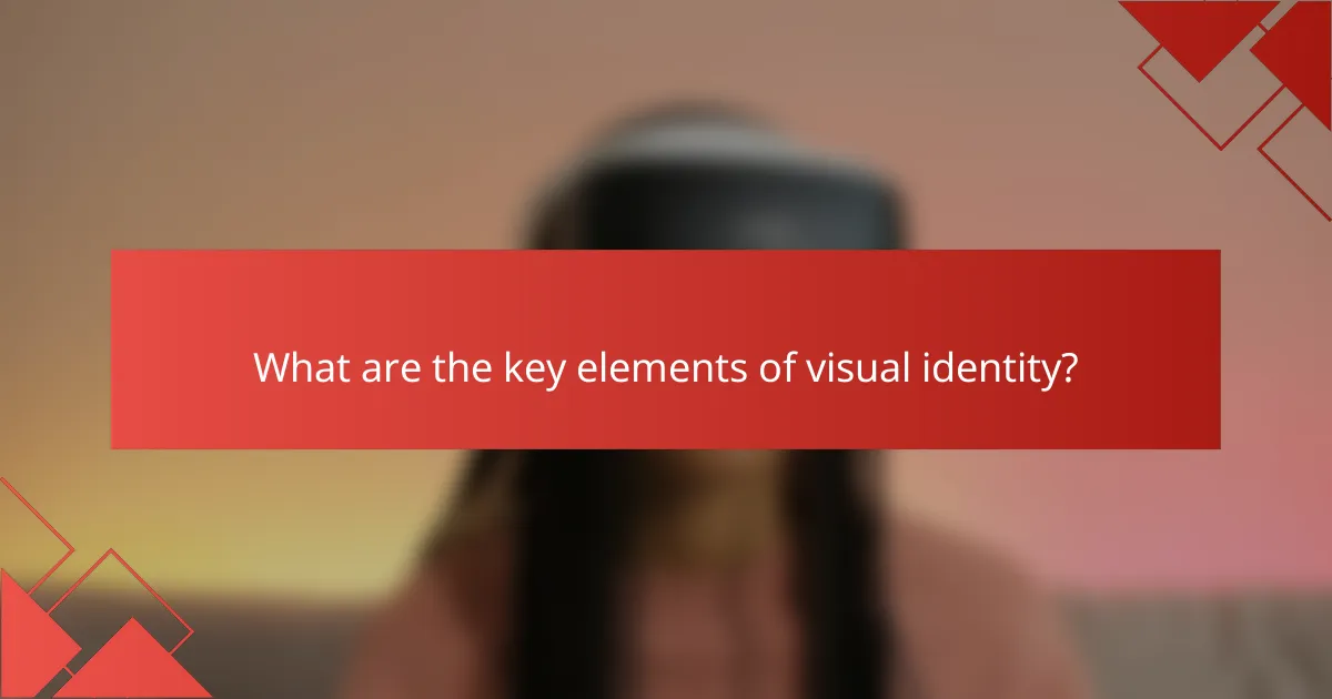 What are the key elements of visual identity?
